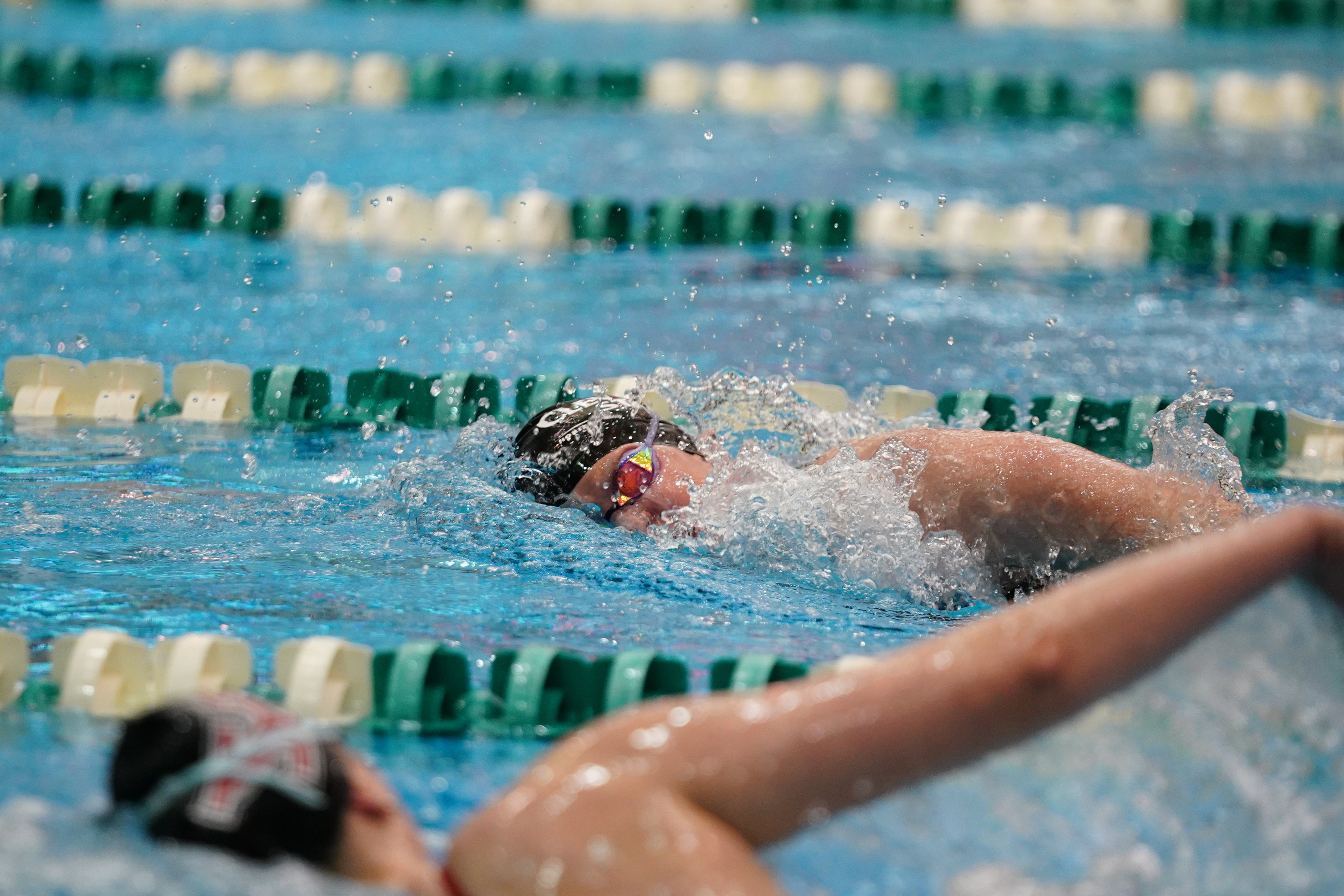 A Cauldron Gallery: CSU Swim & Dive vs. Youngstown